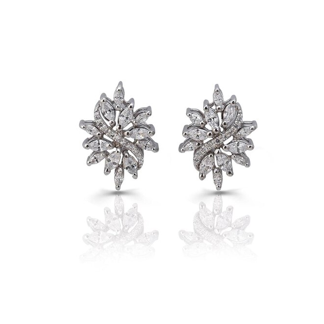 Silver Earrings